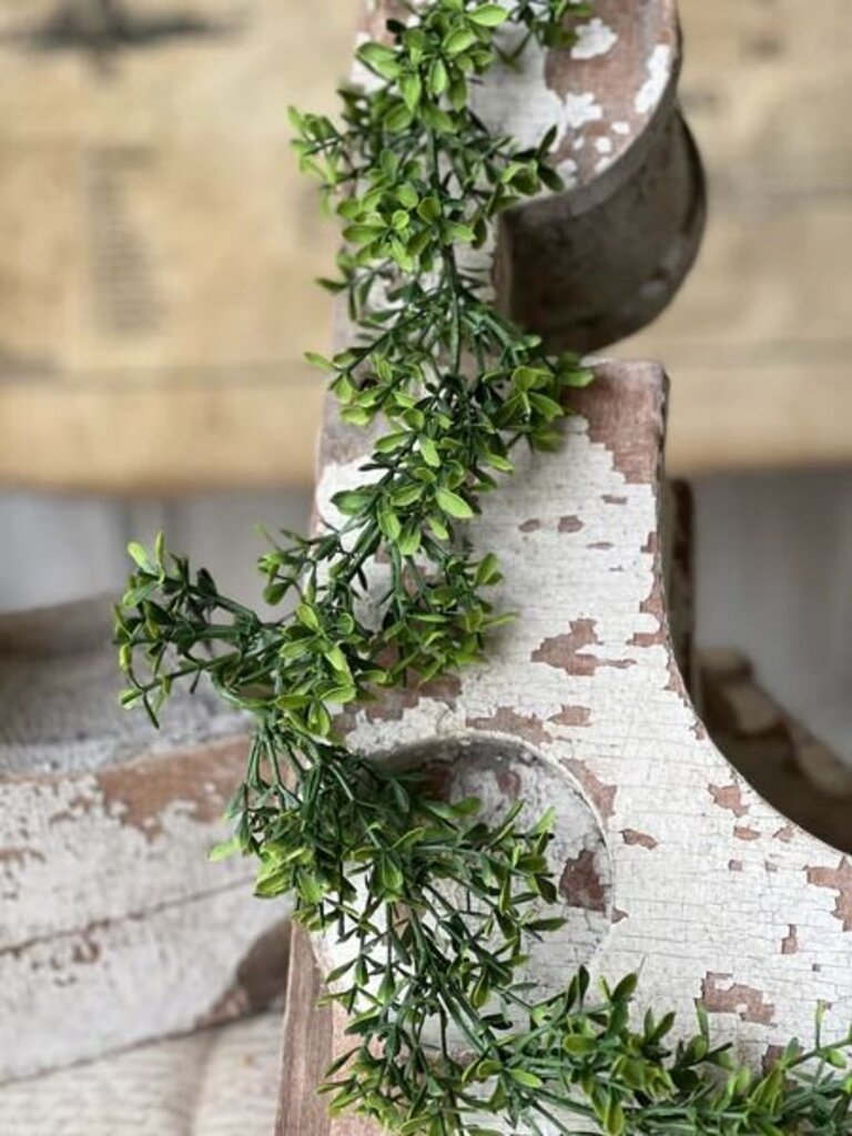 Lyric Boxwood Garland