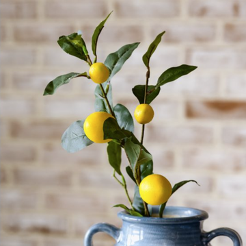 Lemon Stem - 30"