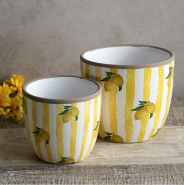 Yellow Stripe Lemon Planter
