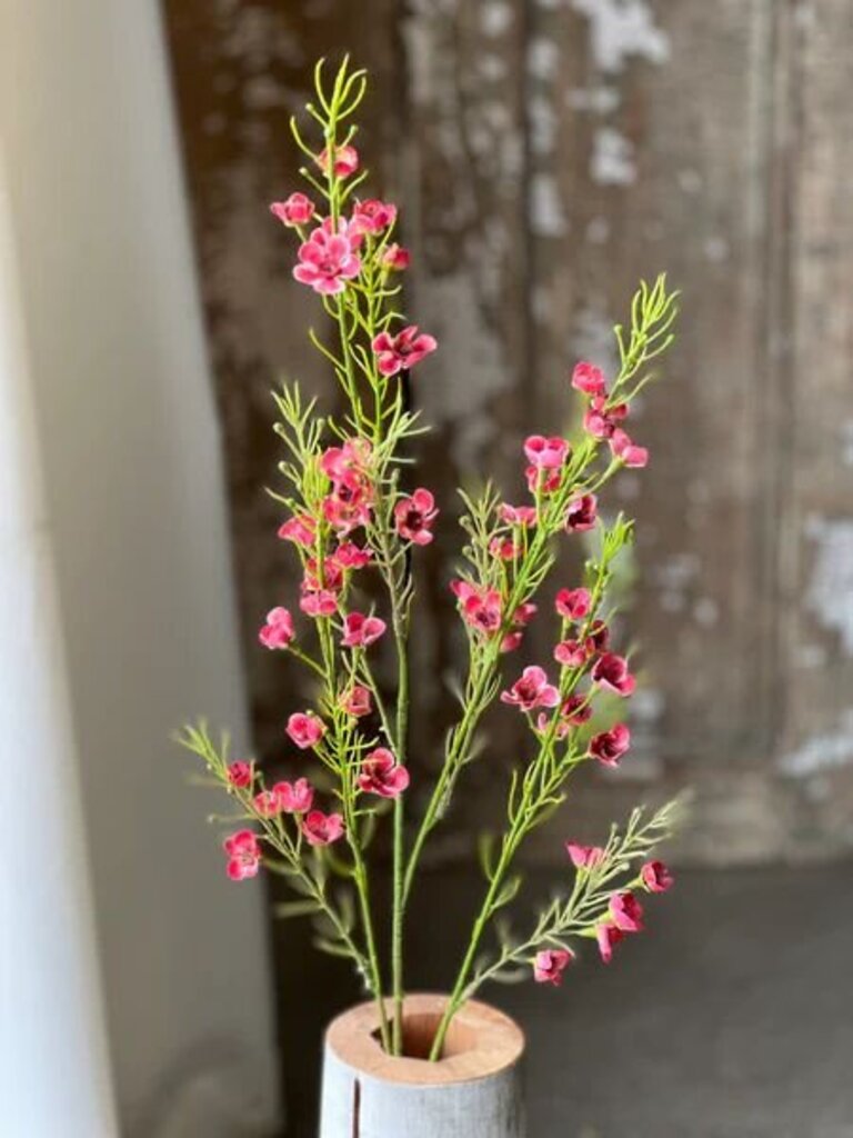 Pleasance Bloom- Carmine