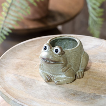 Green Frog Planter