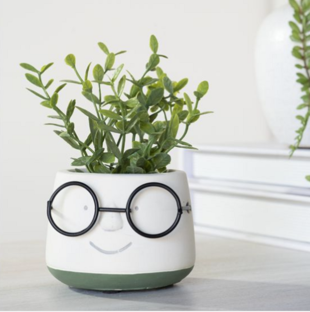 Cute Sherman Planter