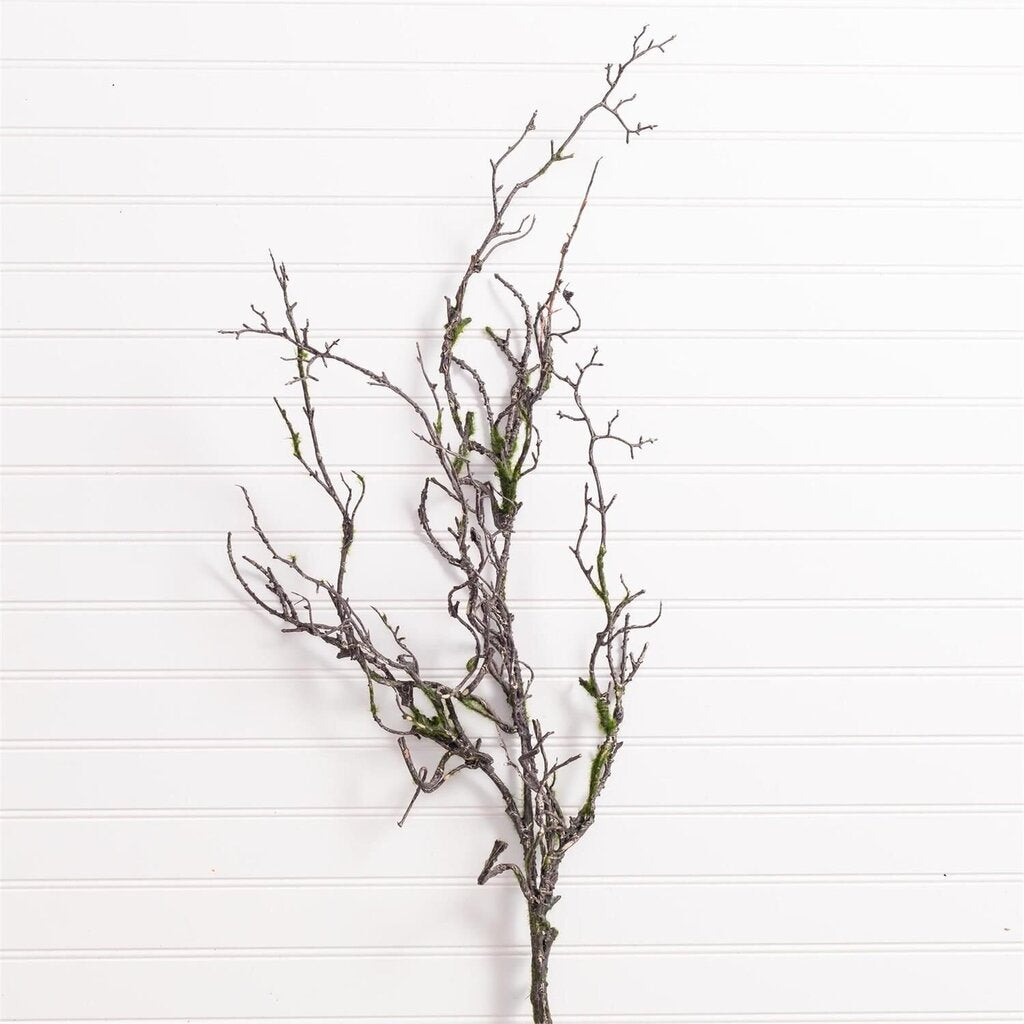 Moss Covered Branch