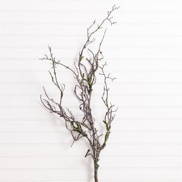 Moss Covered Branch