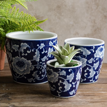 Gorgeous Navy Floral Pot