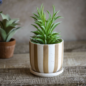 Matte Brown Stripe Ceramic Planter