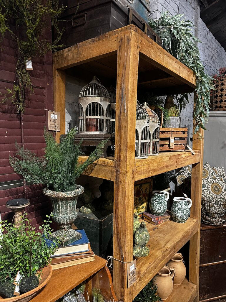 Bleached Library Shelf