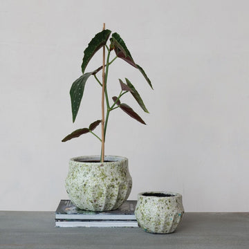 Terracotta Terrazzo Finish Planter
