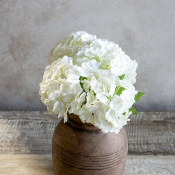 White Hydrangea Bunch