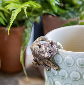 Antique Racoon Pot Hanger