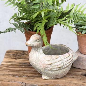 Cement Duck Planter