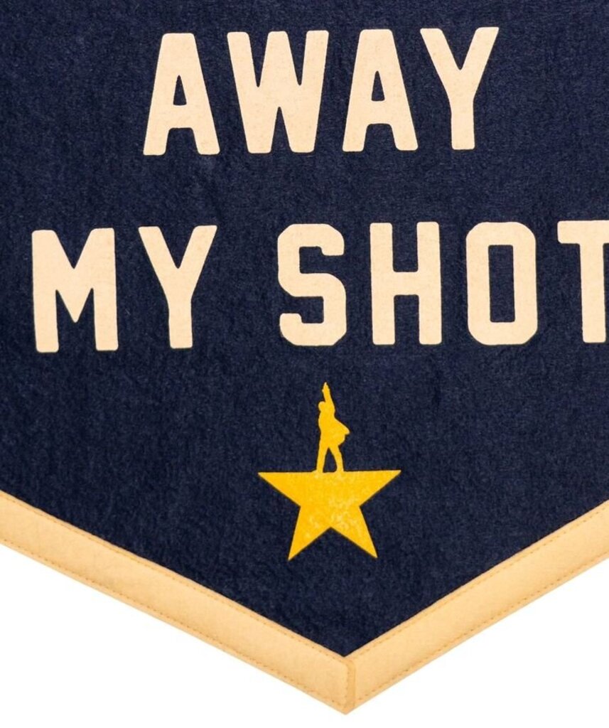 I'm Not Throwing Away My Shot Camp Flag
