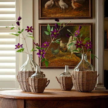 Clematis Purple Stem - 35"