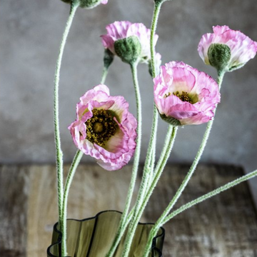 Poppy Flower Stem - Pink