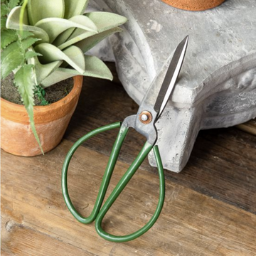 Green Plant Scissors