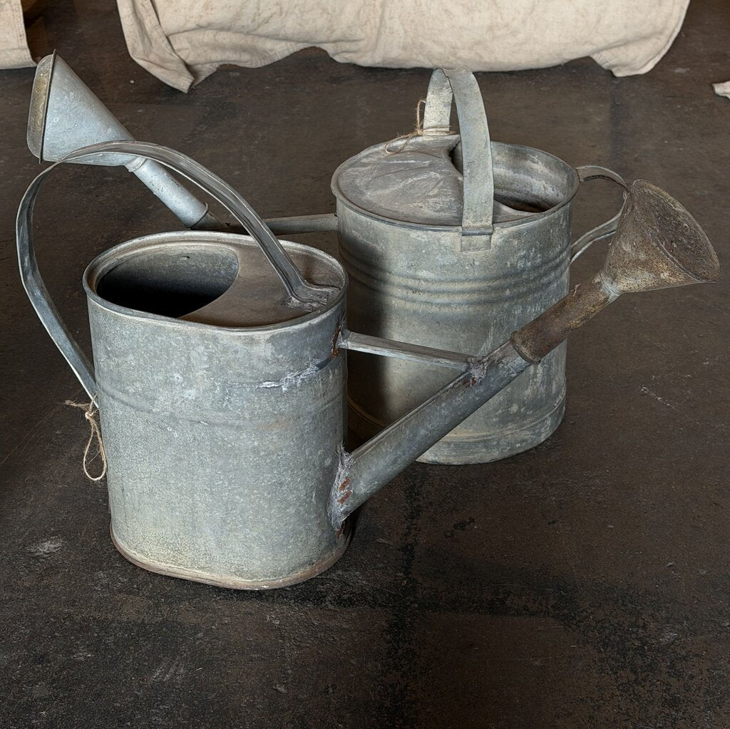 Authentic European Galvanized Watering Can