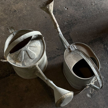 Authentic European Galvanized Watering Can