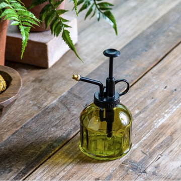 Pretty Olive Green Plant Mister