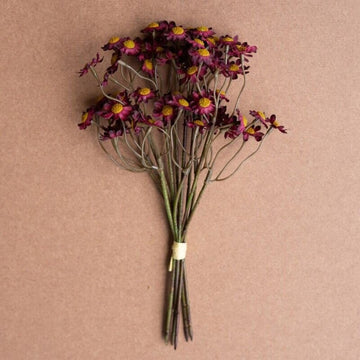Burgundy Chamomile Bundle - 10"