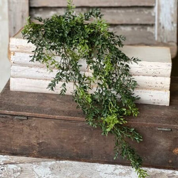 England Boxwood Hanging