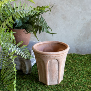 Rolled Edge Terracotta Pot - 6.5"
