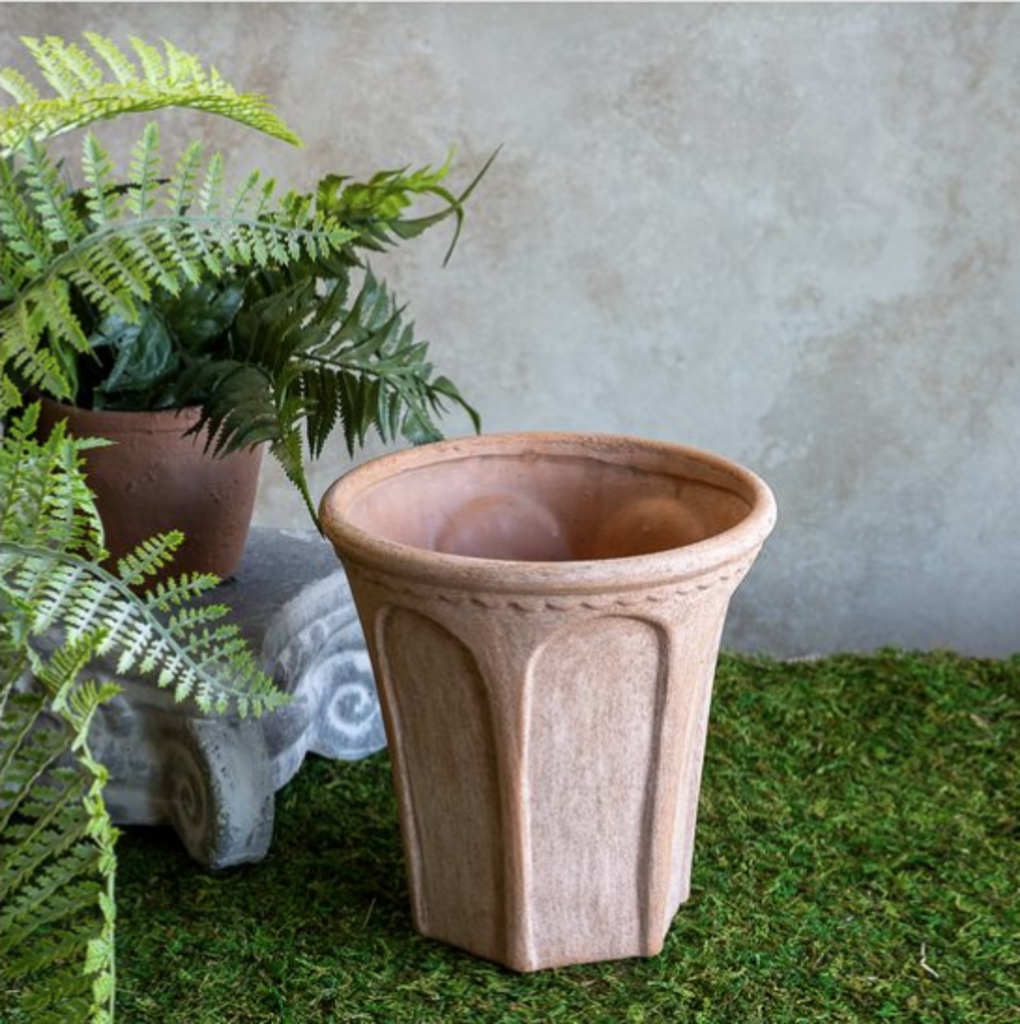 Rolled Edge Terracotta Pot - 8"