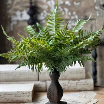 Ruffian Fern Bush - Shadow