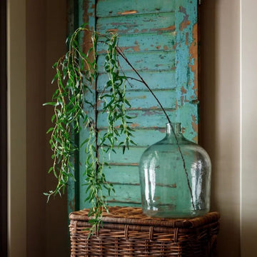 Weeping Willow Branch - 71"
