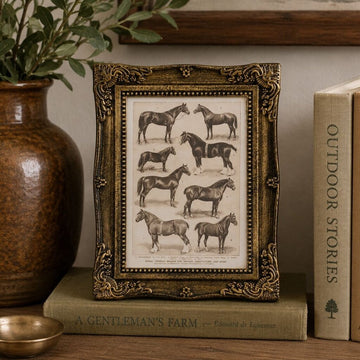 Horse Breeds Framed Wall Art