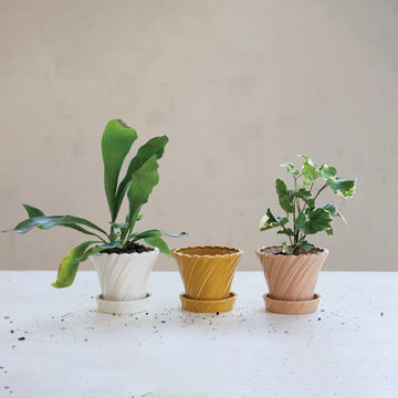 Twisted Planter + Saucer