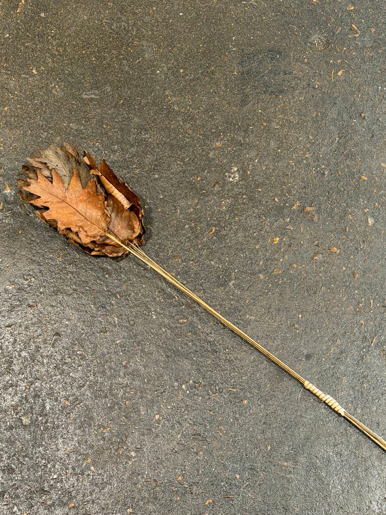 Dried Fern Leaf Bunch
