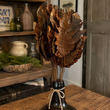 Dried Fern Leaf Bunch