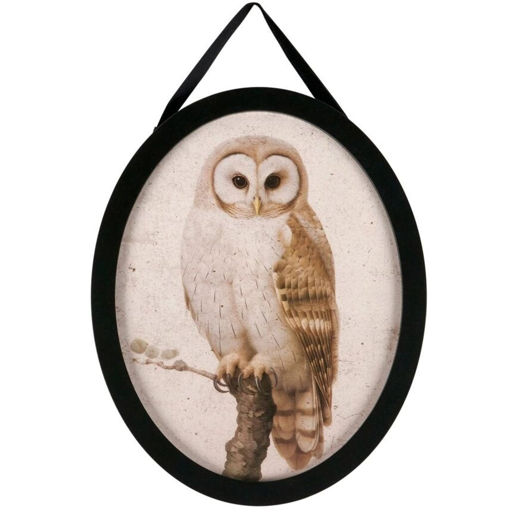 White Owl Hanging Decor