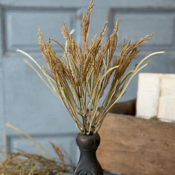 Wheaten Waves Bush