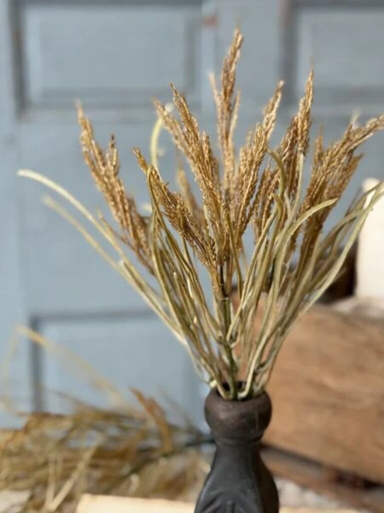 Wheaten Waves Bush