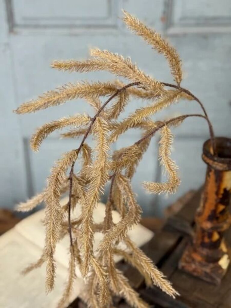Cool Days Fawn Cattails