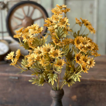Mustard Ashdale Daisy Bush