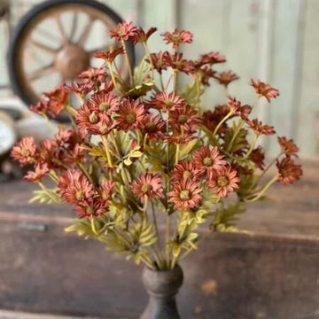 Rusty Ashdale Daisy Bush