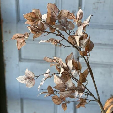 Fog Windrush Leaves - 46"