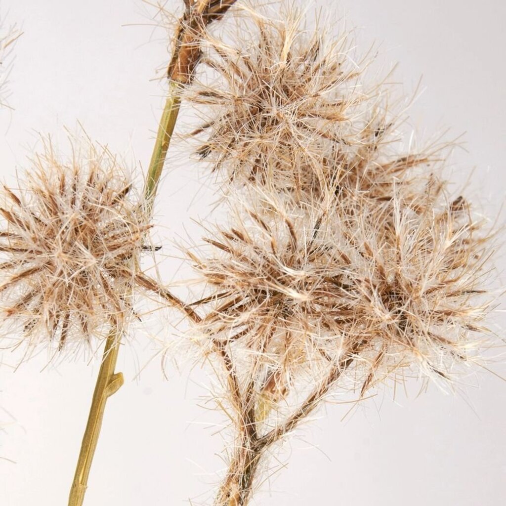 Black Allium Floral Pick