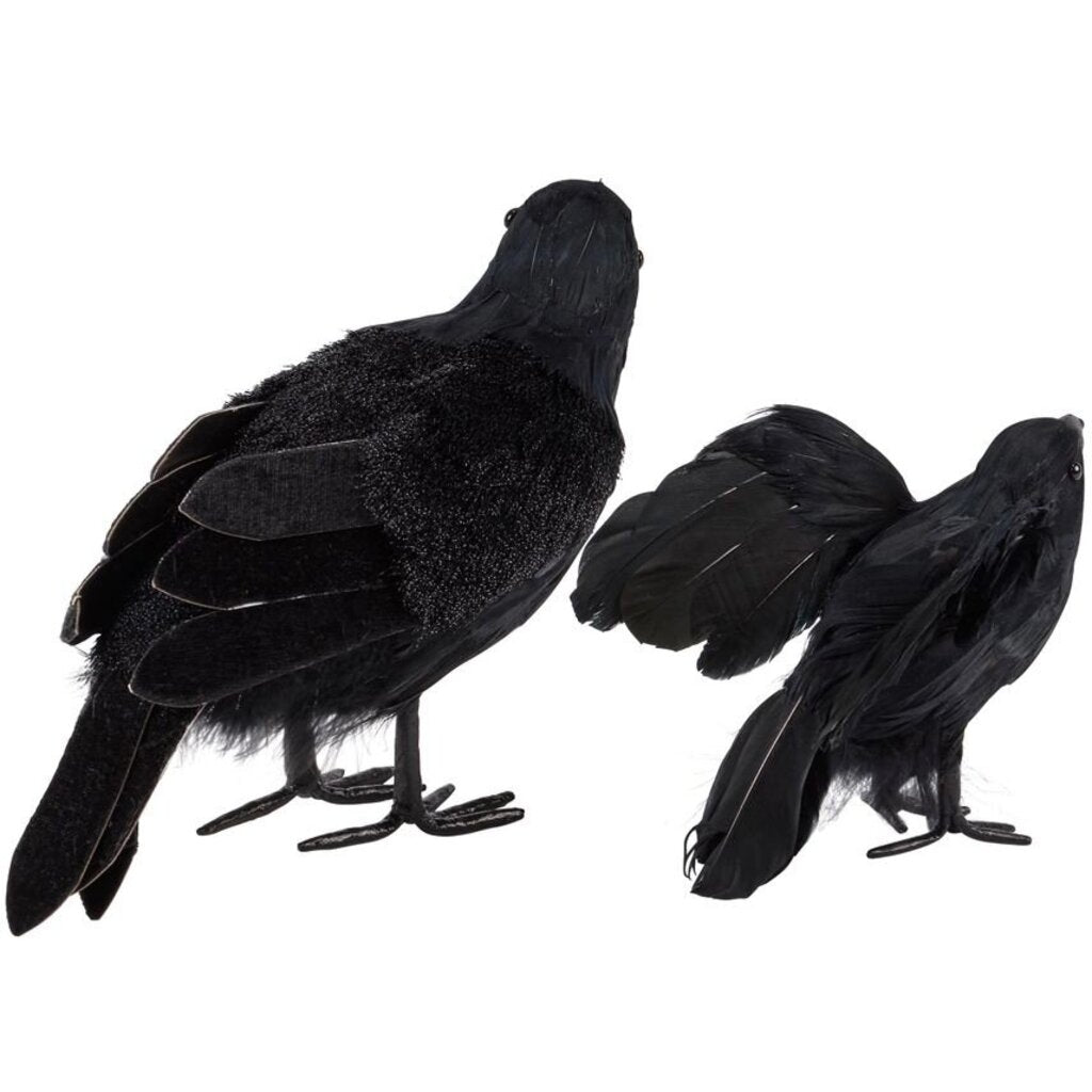 Standing Black Crow