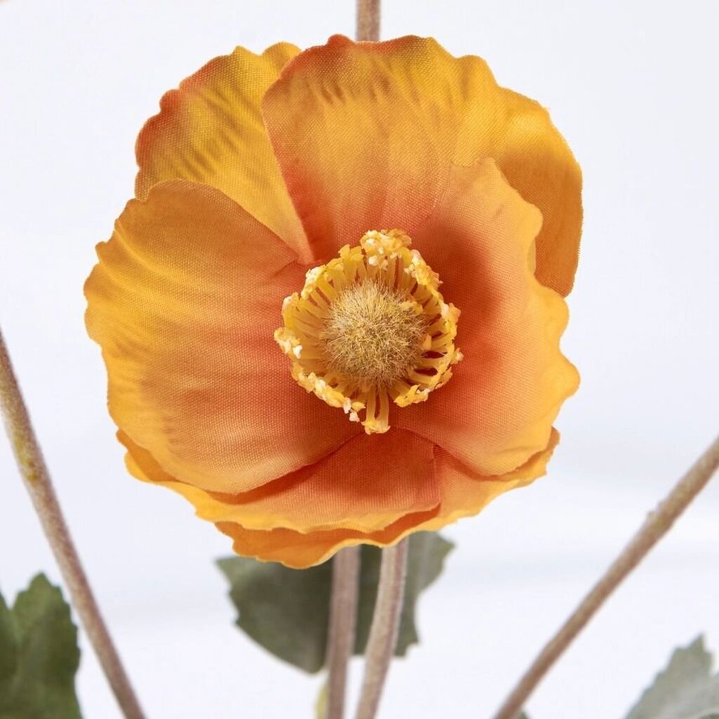 Yellow Poppy Floral Pick