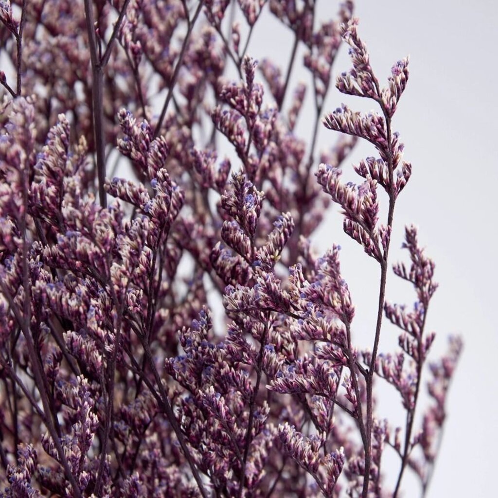 Purple Caspia Bouquet