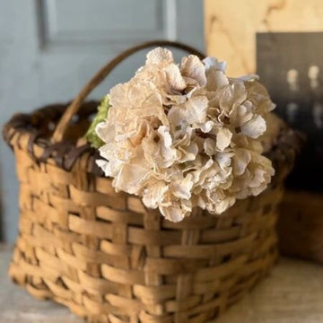 Revival Hydrangea Stem - 20"
