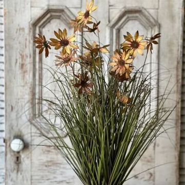Caraway Coneflower in Pot - 31"
