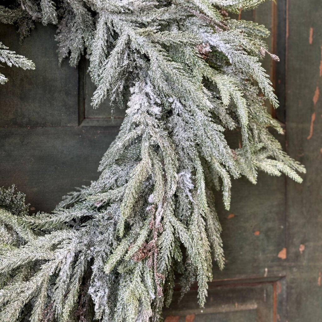 Snowdrift Norfolk Pine Wreath