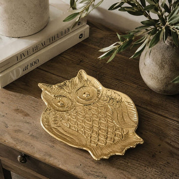 Wise Owl Tray