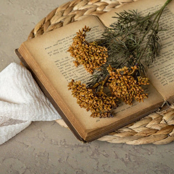 Orange Yarrow Pick