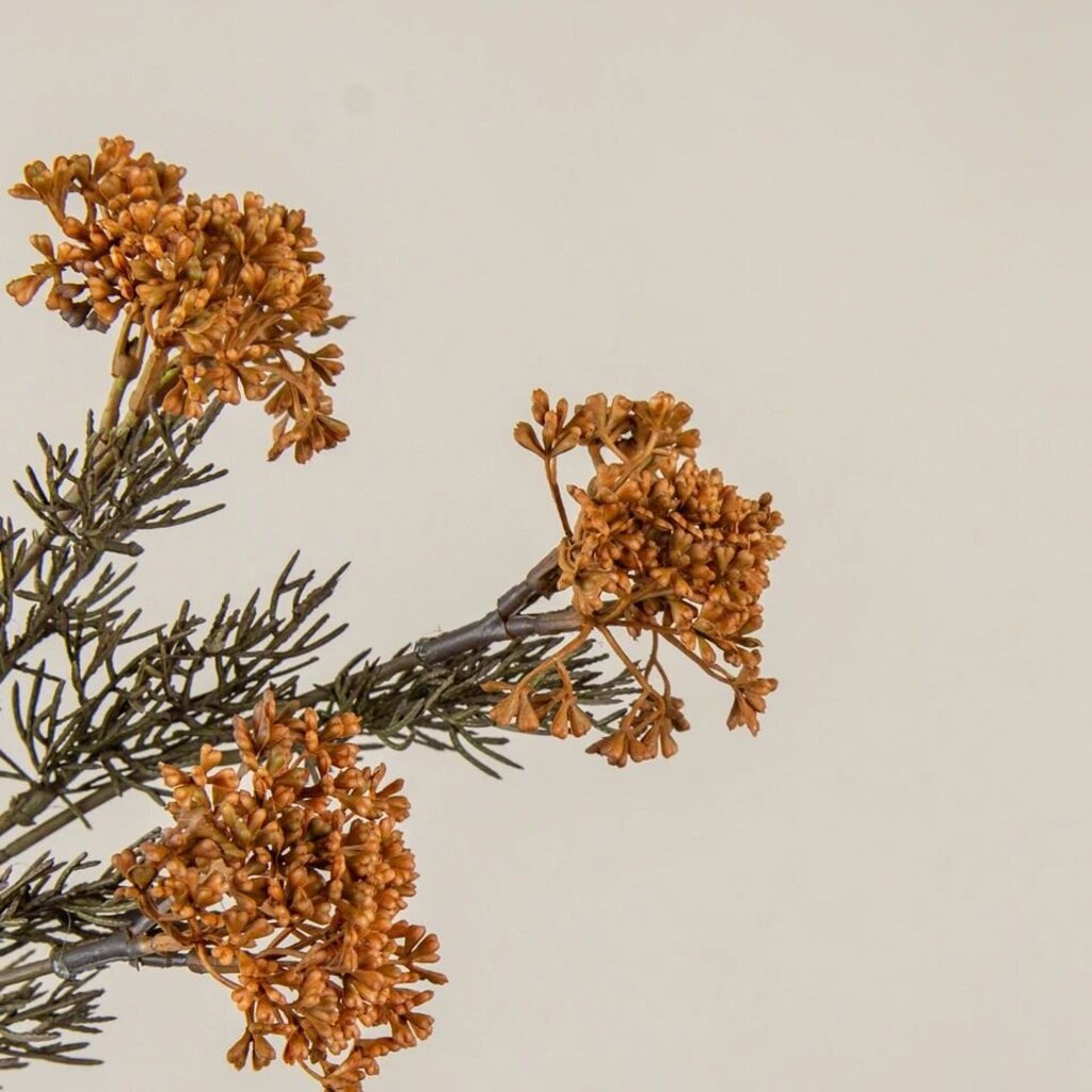Orange Yarrow Pick
