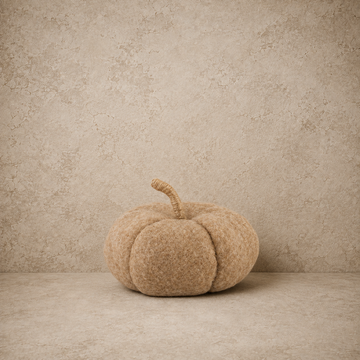 Felt Pumpkin w/ Jute Wrapped Stem